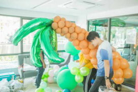 ติดตั้งต้นมะพร้าว